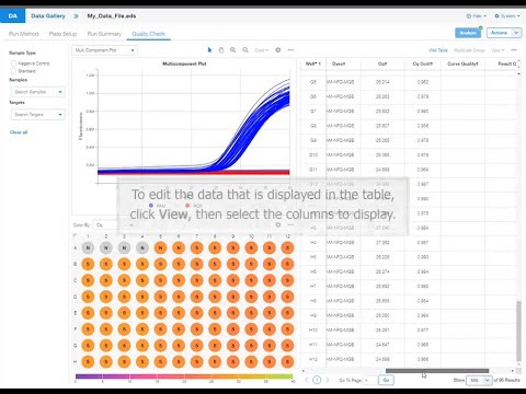 QuantStudio Design and Analysis 2 Video Tutorial - Analyze Data File