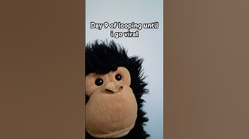 Day 9 of looping until i go viral #funny #comedy #memes