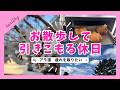 お金をかけないで健康が一番！早起きして散歩する休日【60歳おひとりさま】