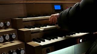 Reed Payne (1930) When Joseph Went to Bethlehem (arr. L. Hunt Pedersen). Organista: Sandro Carnelos.