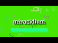 How to say "miracidium"! (High Quality Voices)