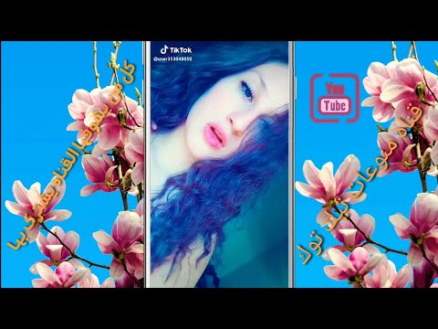 نشرجديد من كلكم صرتو ولد شيوخ مبروك الشيخه يا فروخ 