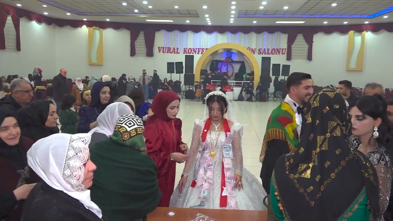 Dawêta torîya Seyyid ♾️ heja 