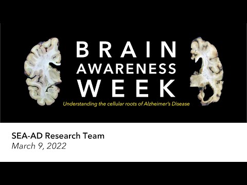 Brain Awareness Week: Understanding the Cellular Roots of Alzheimer&rsquo;s Disease