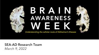 Brain Awareness Week: Understanding the Cellular Roots of Alzheimer's Disease