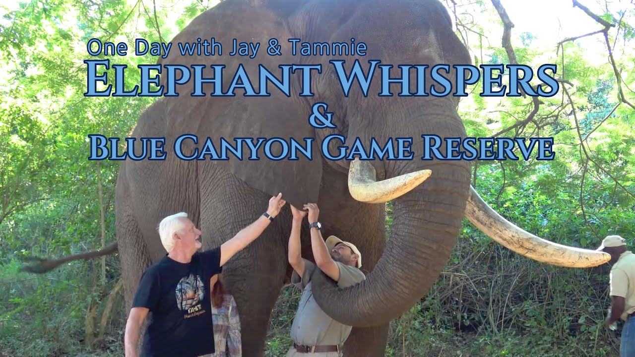 One Day at Elephant Whispers and Blue Canyon Game Reserve