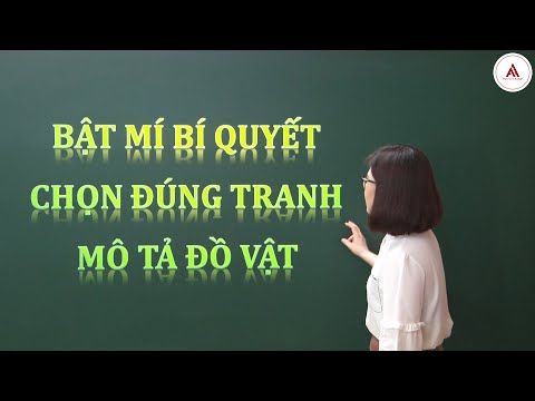 Video: Nhận xét của nhân viên 