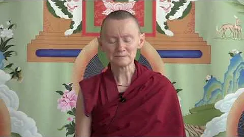 05-07-13 The Tourist And The Buffalo - BBCorner