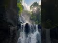 Nature’s Spotlight 💡✨in 4k.#shorts #trendingshorts #shortsfeed#explore