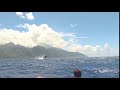 Saut Baleine à Bosse - Baleineau presqu’île de Tahiti - French Polynesia
