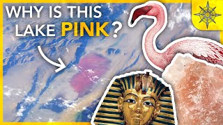 Why Is This Lake PINK? by Atlas Pro 250,767 views 2 years ago 24 minutes