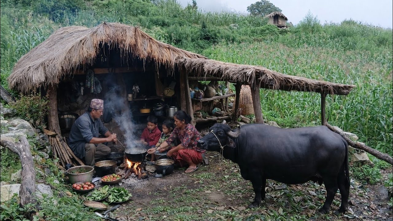 Pure & Organice The Best Village Food Straight From Nepal is Countryside ll