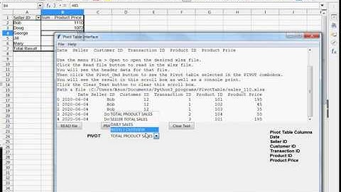 Python Pandas PivotTable