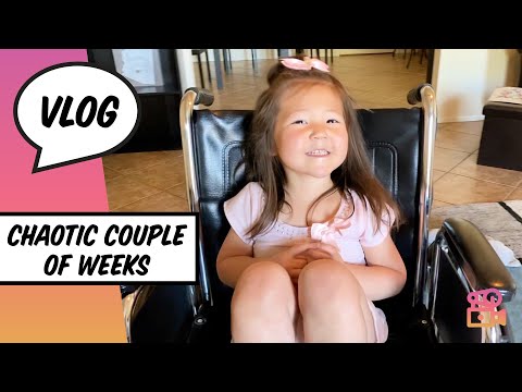 It’s Been A Chaotic Couple Weeks | HelloHannahCho