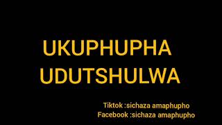Ukuphupha udutshulwa | Sichaza amaphupho
