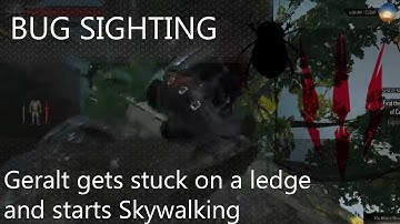 Witcher 3: bug - Geralt Skywalker