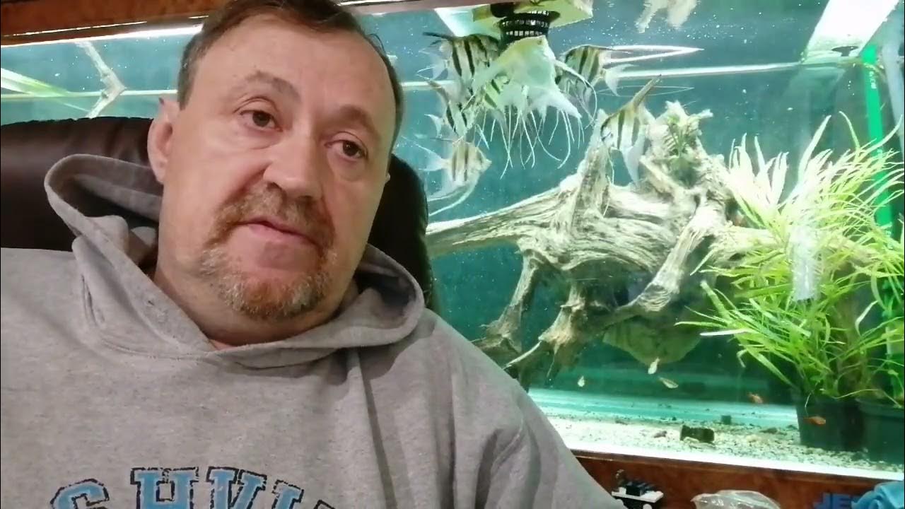 Хлорамин Т настоящий! - YouTube