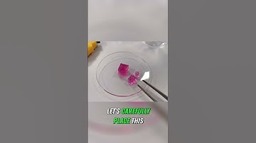 Diffusion Experiment Using Agar Cubes #chemistry #gcsescience