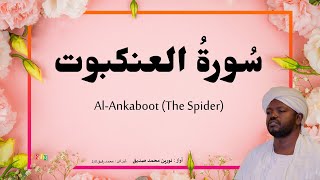 29.Surah Al Ankaboot سُورةُ العنكبوت‎ | Beautiful Quran Recitation by Qari Noreen Muhammad Siddique