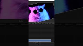 Blender Tutorial: How to Rotate Video in Blender Video Editor