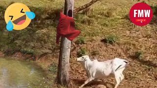 Funny \& Hilarious People's Life 😂 #77 - Try not to Laugh | Funny Fails Compilation 2024