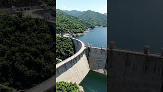 toddlerdance funny kids Dodi Dodi Dum Dum cover squirrel 