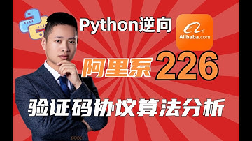 【Python爬虫】阿里系226^验证码协议算法分析|Python逆向进阶教程！