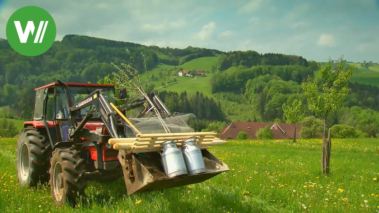 Niederösterreich - romatisches Landleben inmitten von grünen Wiesen | Landträume (Folge 35/37)