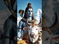 Om namah shivay ❤️❤️🙏🙏🔱#bhakti #Shorts #video