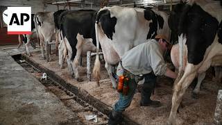 Farmers show the pasteurization process as the push for raw milk grows
