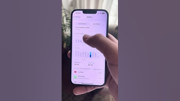 iPhone 14 on iOS 16.6 - iOS 16.6.1?