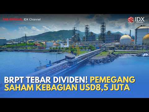 BRPT Tebar Dividen! Pemegang Saham Kebagian USD8,5 Juta | MILENOMICS
