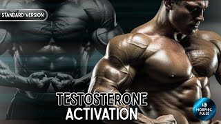 TESTOSTERONE ACTIVATION | Morphic Field  | Muscle Growth, Strength, L!b!do, Masculinity ,Vitality