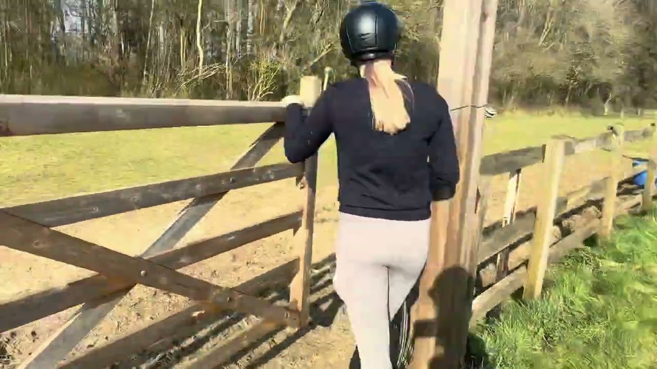 BTEC Equine unit 6- turning out/in