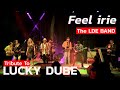 TRIBUTE TO LUCKY DUBE LIVE -  The LDE BAND - FEEL IRIE