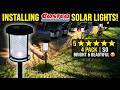 Installing Costco Bought 4 Pack Solar LED Lights | 5 ⭐️ | So Bright And Beautiful 😍