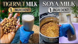 How to Make Creamy Tigernut Milk & Soy Milk with ONLY 1 Main Ingredient | Easy Dairy-Free Recipe