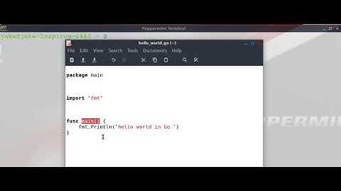 Hello World in Go in Linux