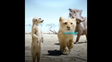 "Hakunamatata" | Disney's The Lion King Edit | Memory Reboot | #disney #lionking #edit