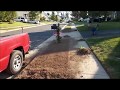 Growing Grass in the Lawn Median - Renovation