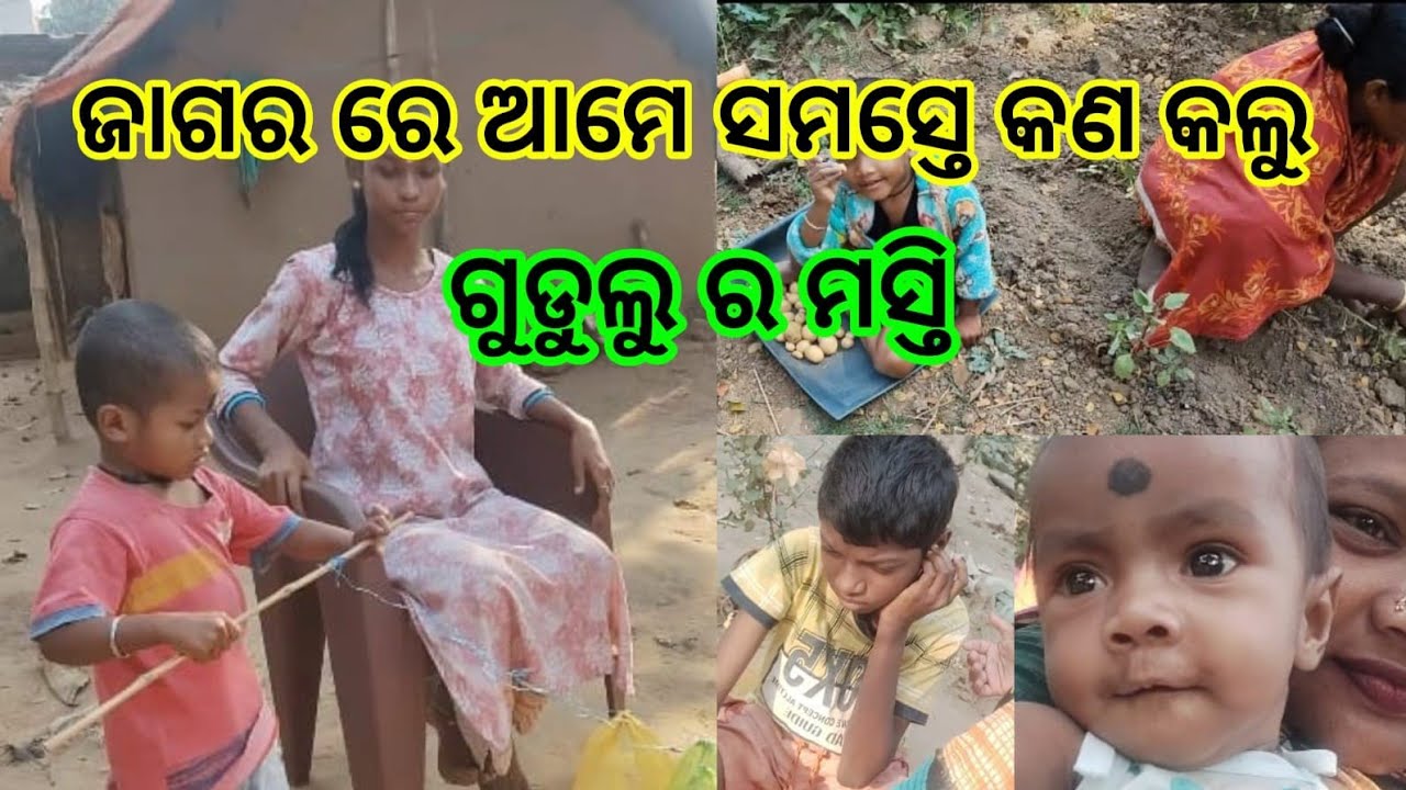 ଗୁଡୁଲୁ ବୋଉ ମିସିକି ବିଲରେ କଣ କଲେ