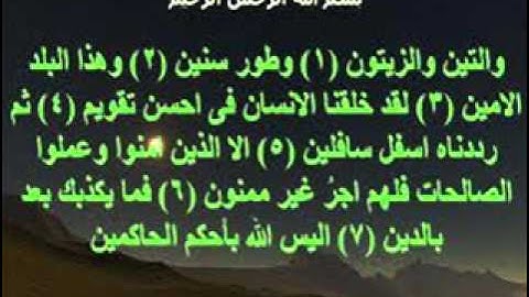 وليد النائحي - سورة التين  sorat al-teen