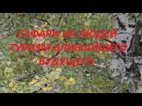 Сафари на людей - туризм ближайшего будущего. № 882