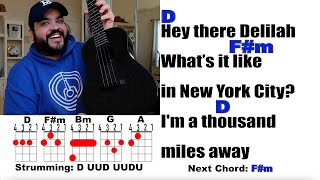 HEY THERE DELILAH - Plain White T&#39;s (Ukulele Play Along with Chords and Lyrics)