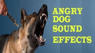 Angry DOG Bark & Growl Sound Effects by Lajeko Pet's 3,357 views 6 years ago 39 seconds