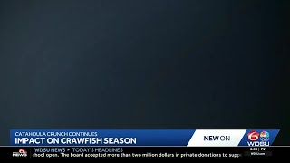 How immigration sweeps impact Louisiana seafood industry