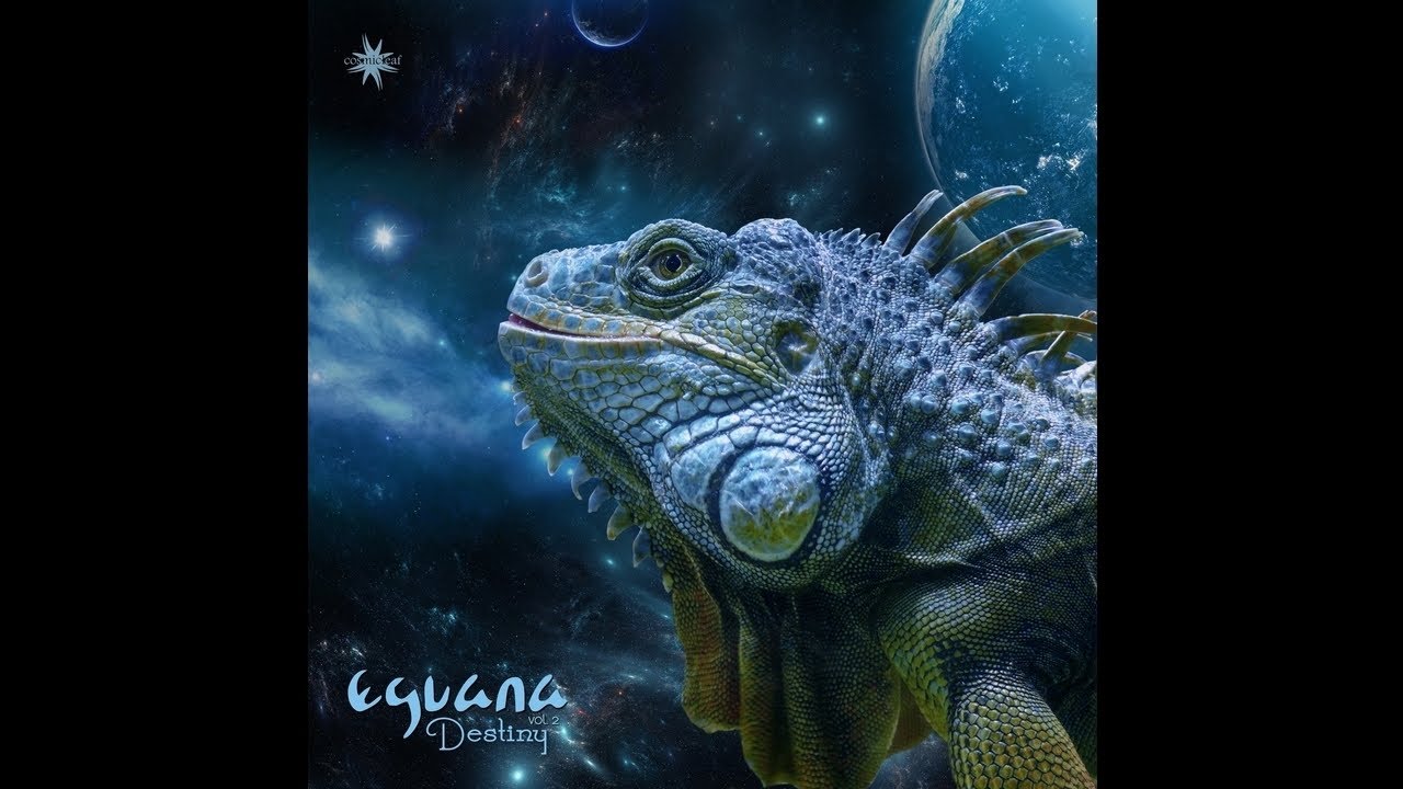 Eguana - Destiny, Vol. 2 - 04 Exoplanet T. ✨ Psychill / Psybient