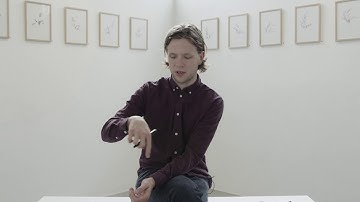 Herba Stochia by Halldór Eldjárn