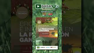 Paisanotv Transmite En Vivo Jornada Técnica Ganadera