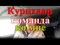 Курцхаар команда ко мне пошаговая инструкция